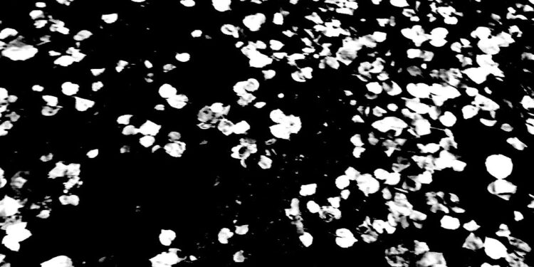 Σοπενάουερ: Μετά τον θάνατο και πριν από την γέννηση