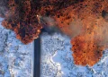 Μερικές από τις πιο όμορφες φωτογραφίες της άγριας φύσης