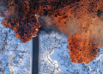 Μερικές από τις πιο όμορφες φωτογραφίες της άγριας φύσης