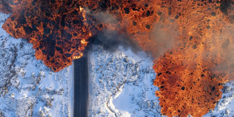 Μερικές από τις πιο όμορφες φωτογραφίες της άγριας φύσης