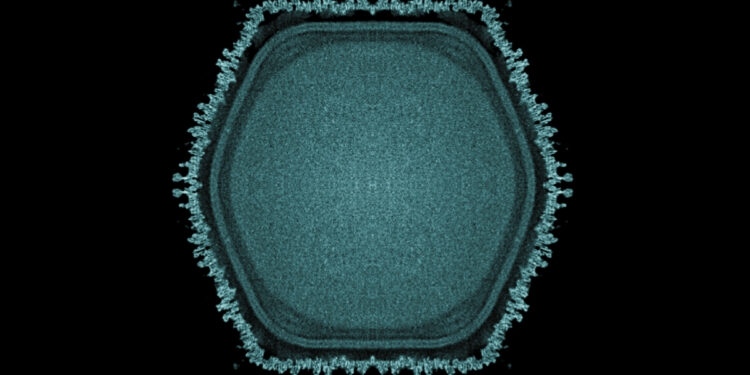 Γιγάντιοι ιοί και εξελικτική ζωή